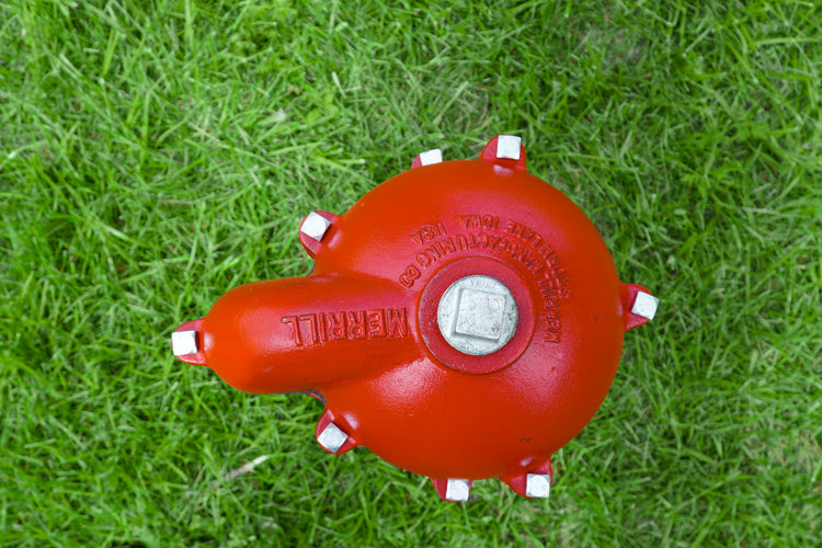 WCBG Series Sanitary Watertight Cap – Conduit Tapping, Vent, Optional Ground Screw | WCBG