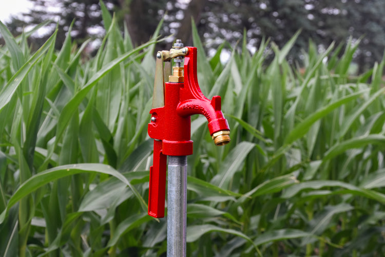 R-6000 No-Lead Frost-Proof Yard Hydrant – Durable Cast Iron Head & Stainless Steel Components | R-6000