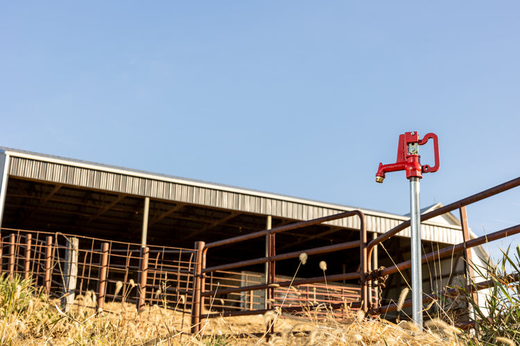 Any Flow® No-Lead Frost-Proof Yard Hydrant – Heavy-Duty, Freeze-Resistant | AnyFlow