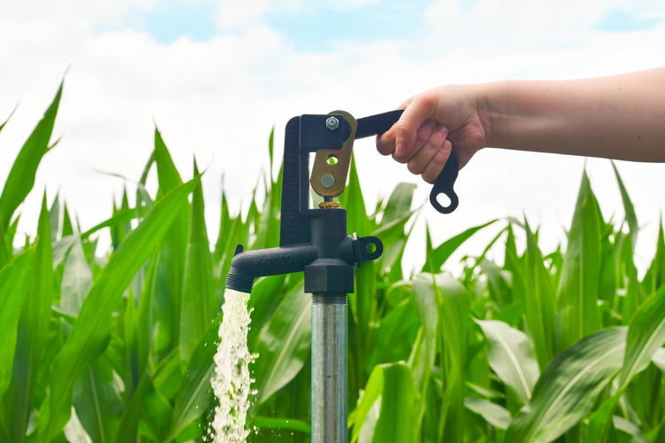 M-2000 No-Lead Frost-Proof Yard Hydrant – DuPont™ Zytel® Head, Stainless Steel Rod, Year-Round Use | M-2000