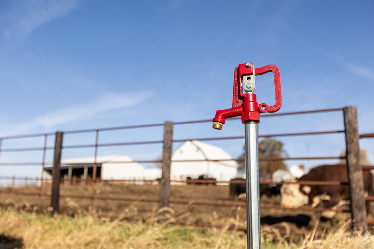 C-1000 No-Lead Frost-Proof Yard Hydrant – Best Seller, Heavy-Duty, Contractor Grade | C-1000