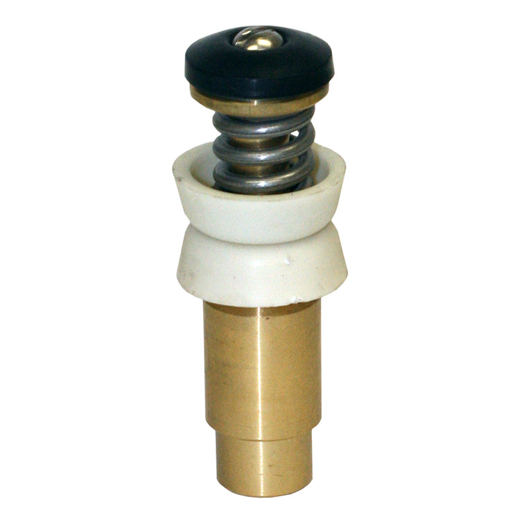 Plunger Assembly | G116