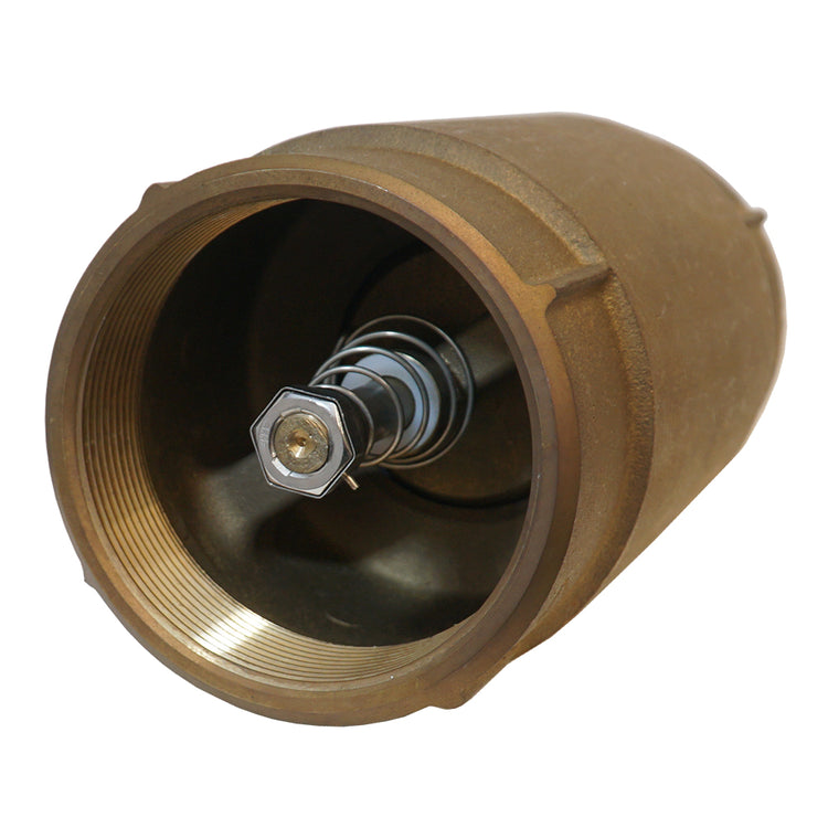 No-Lead Brass Check Valve with No-Spin Poppet | CVNL