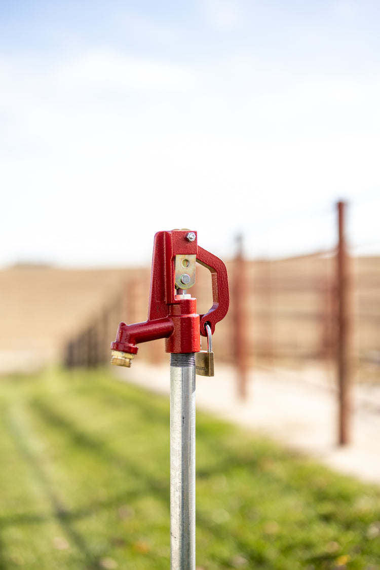 E-5000 No-Lead Frost-Proof Yard Hydrant | E-5000