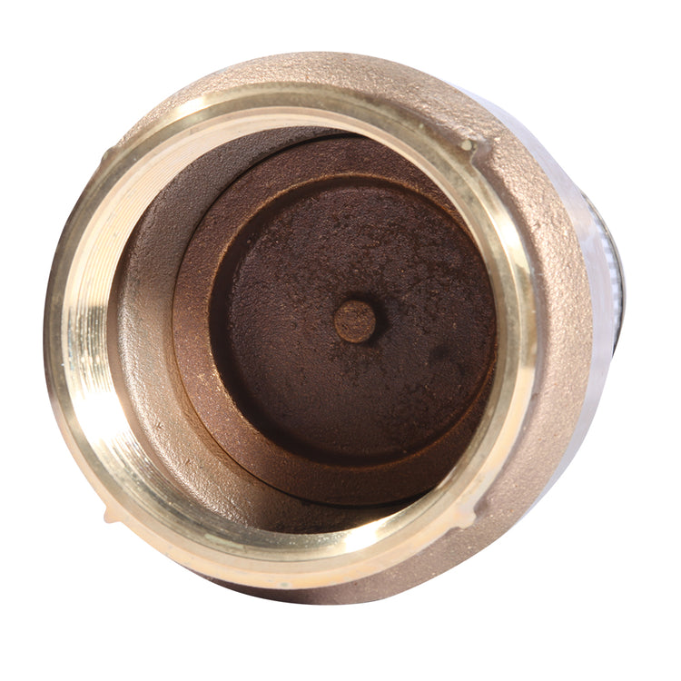 Bronze Foot Valve (No Lead) – Durable Corrosion-Resistant Check Valve | FVANL