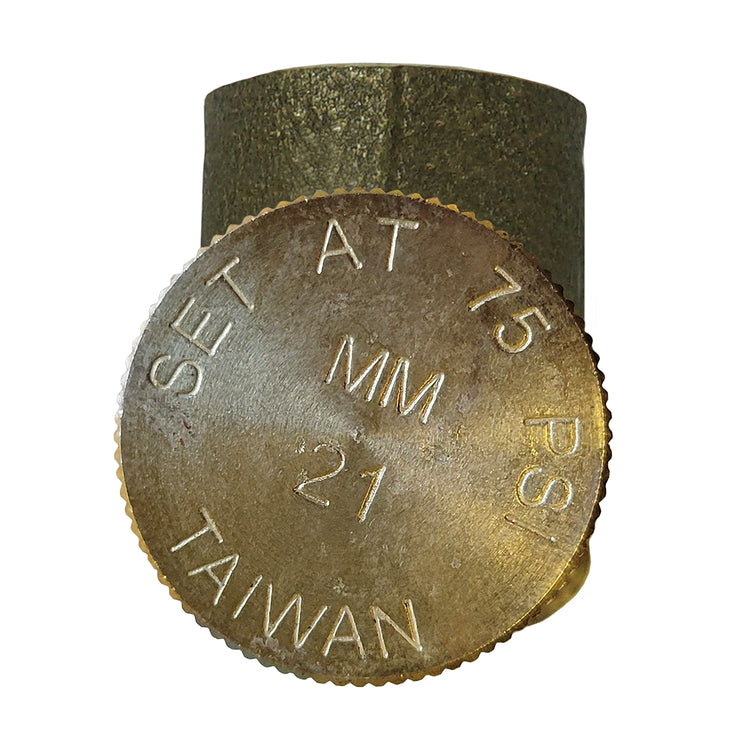 Brass (No Lead) Pressure Relief Valve – 75 PSI & 100 PSI Options | Cold Water System Protection