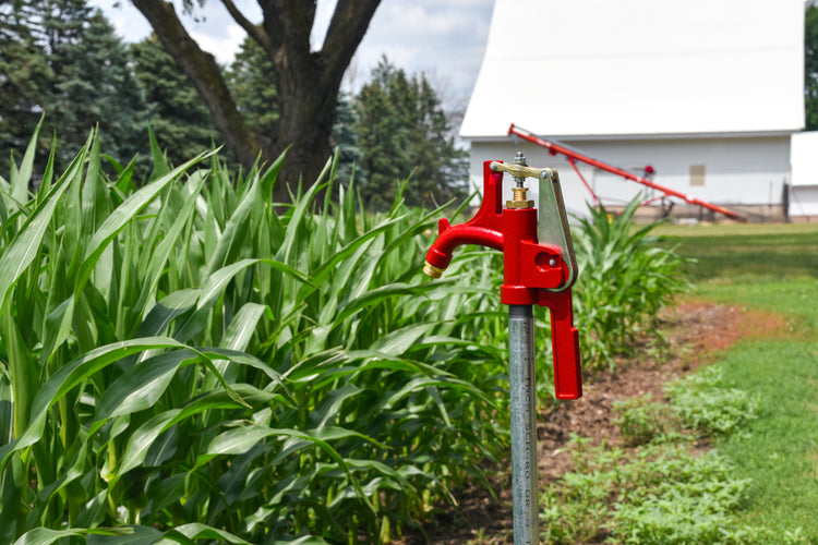 R-6000 No-Lead Frost-Proof Yard Hydrant – Durable Cast Iron Head & Stainless Steel Components | R-6000