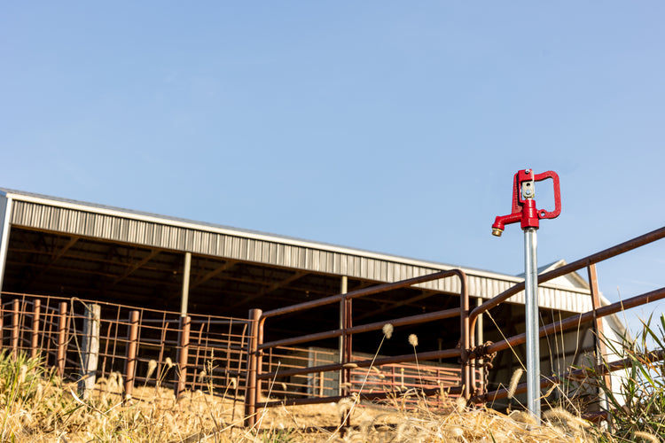 C-1000 No-Lead Frost-Proof Yard Hydrant – Best Seller, Heavy-Duty, Contractor Grade | C-1000