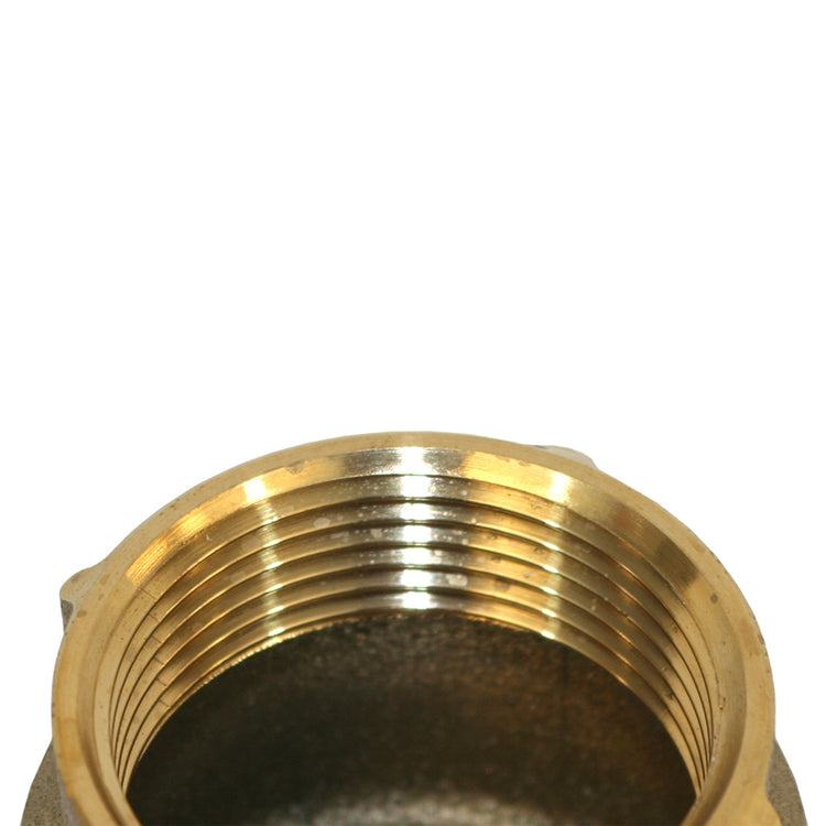 No-Lead Brass Check Valve with No-Spin Poppet | CVNL