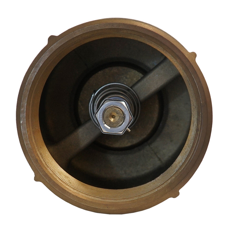 No-Lead Brass Check Valve with No-Spin Poppet | CVNL