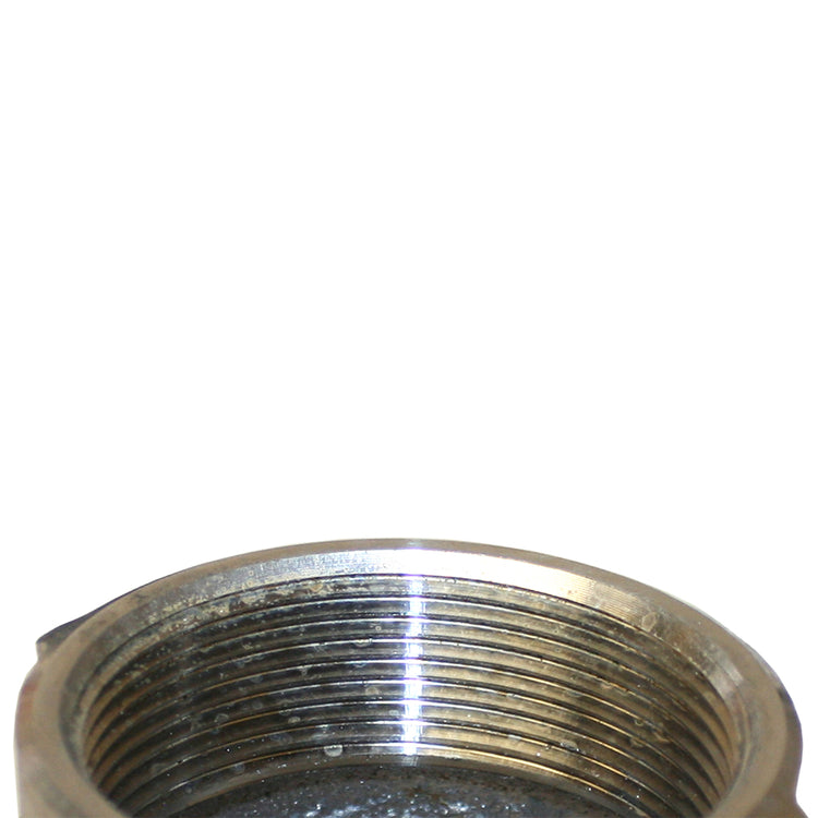 Merrill Check Valve – No-Lead Bronze, Spring or No-Spring, Multiple Sizes | CVMSE