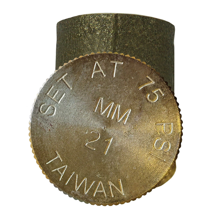 Brass (No Lead) Pressure Relief Valve – 75 PSI & 100 PSI Options | Cold Water System Protection