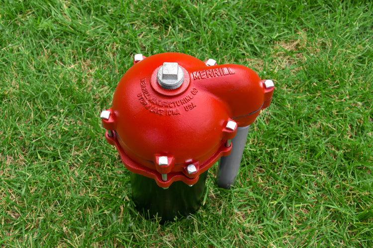 WCBG Series Sanitary Watertight Cap – Conduit Tapping, Vent, Optional Ground Screw | WCBG