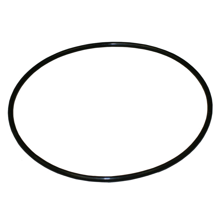 O-Ring #249