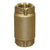Brass Check and Foot Valves