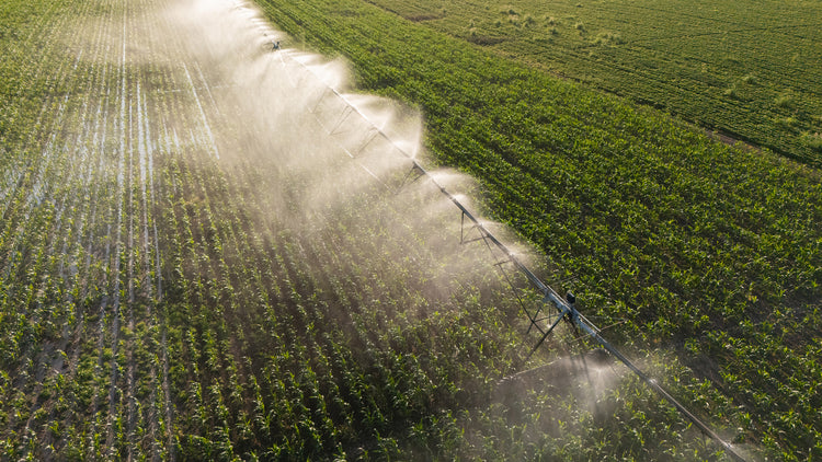 Merrill Manufacturing Company