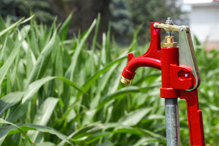 R-6000 No-Lead Frost-Proof Yard Hydrant – Durable Cast Iron Head & Stainless Steel Components | R-6000