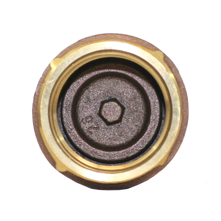 1-1/4" Std. Brass Check Valve
